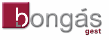 logo bongasenergias gest